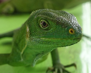DSC08241b